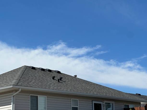 Best Storm Damage Roof Repair  in Westminster, MD
